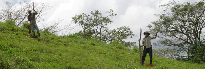 Fence Building