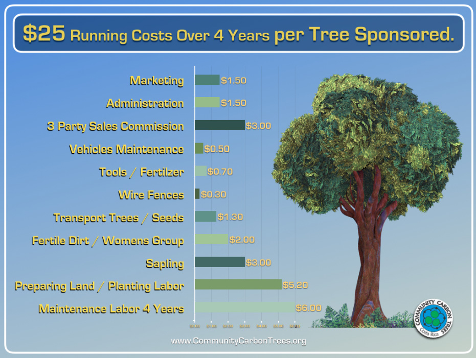 Where Your Money Goes