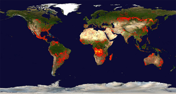 Deforestation