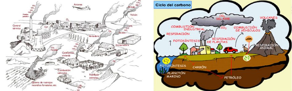 Carbon Cicle