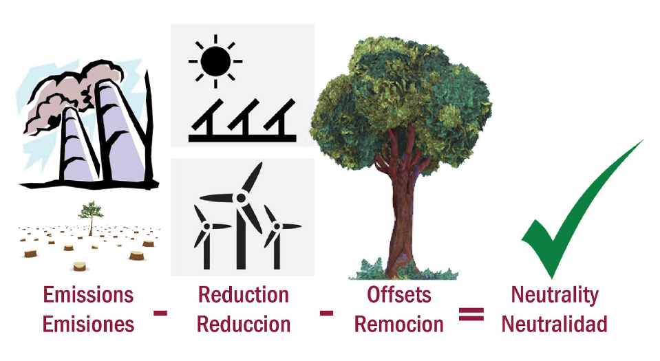 How to Reduce Carbon Footprint