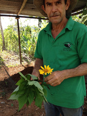 Alvaro Cerdas