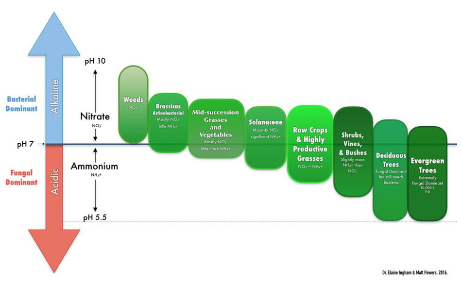 Nutrient Quality