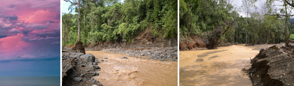 Tropical Trees Lower Ocean Temperatures