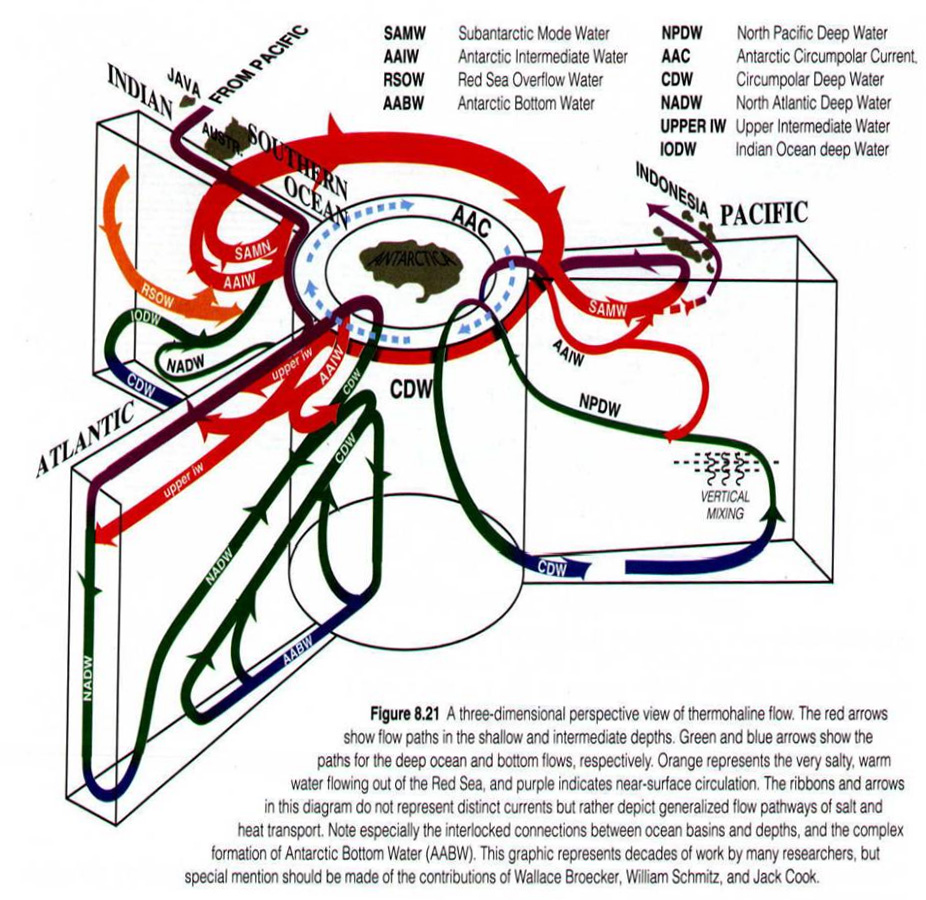 Thermoline Flow