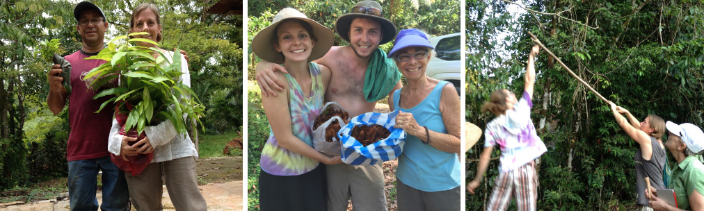 Community Tree Nurseries