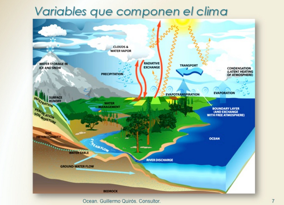 Tropical Trees Lower Ocean Temperatures