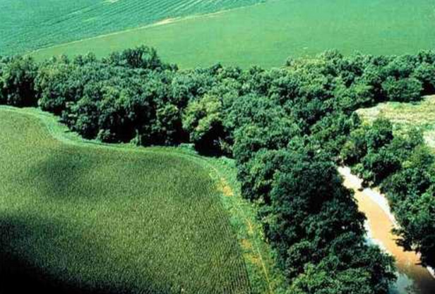 Wildlife Corridors